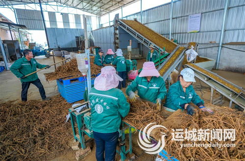 做強(qiáng)做優(yōu)龍頭企業(yè) 持續(xù)壯大產(chǎn)業(yè)集群